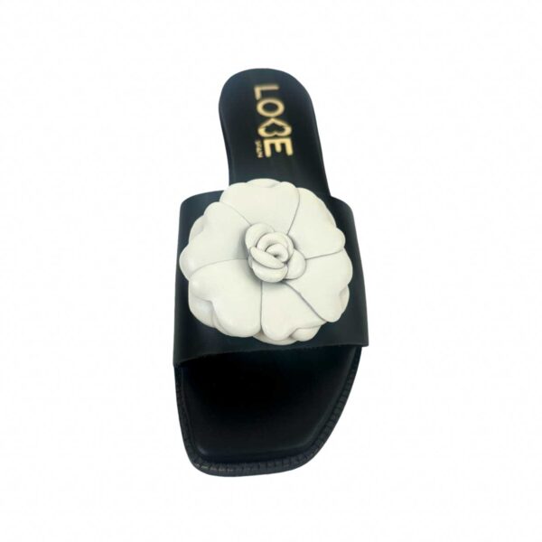 Camelia - Imagen 3